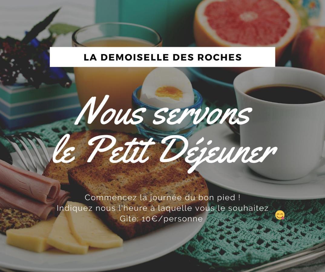 Demoiselle Des Roches Apartment Ramonchamp Luaran gambar