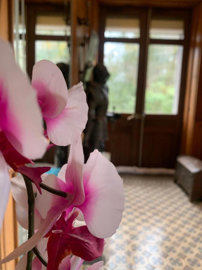 Demoiselle Des Roches Apartment Ramonchamp Luaran gambar