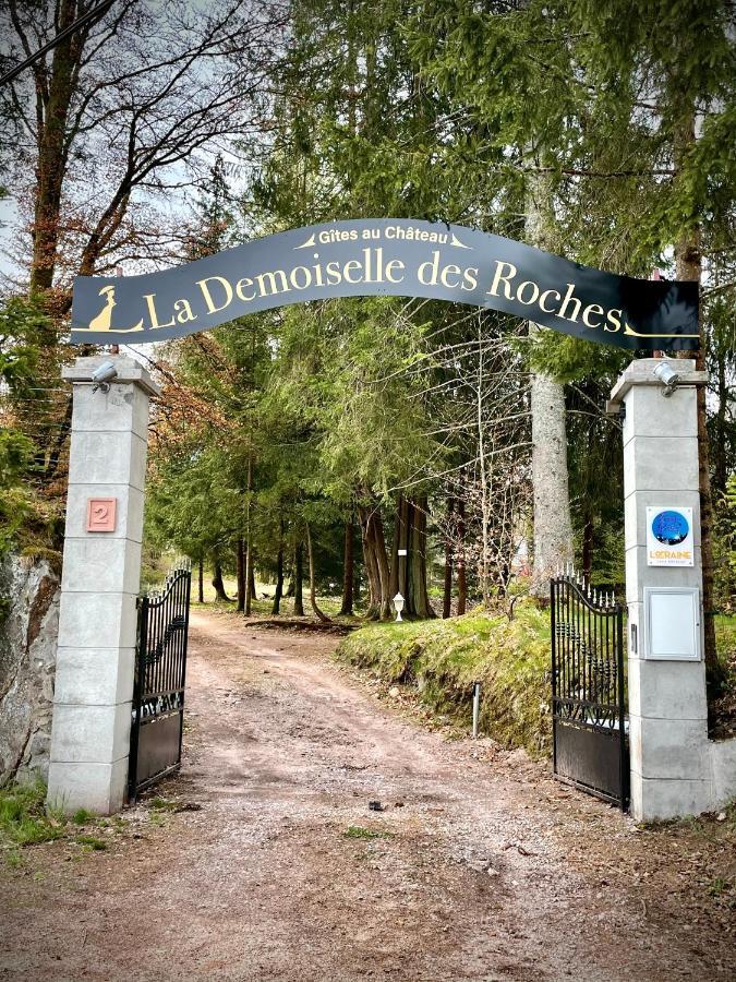 Demoiselle Des Roches Apartment Ramonchamp Luaran gambar