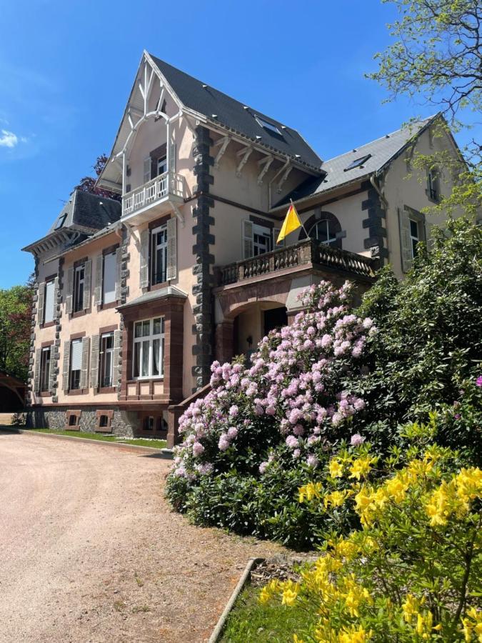 Demoiselle Des Roches Apartment Ramonchamp Luaran gambar